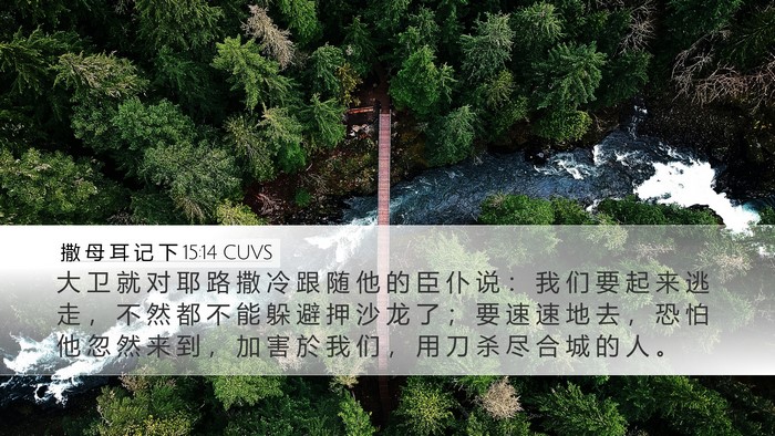 撒 母 耳 记 下 15:14 CUVS Bible Verse Image