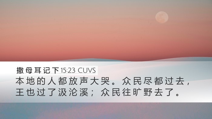 撒 母 耳 记 下 15:23 CUVS Bible Verse Image