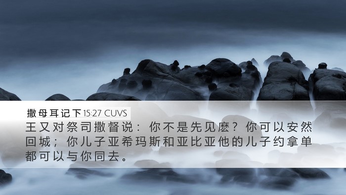 撒 母 耳 记 下 15:27 CUVS Bible Verse Image