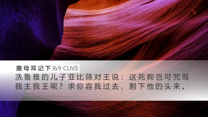 撒 母 耳 记 下 16:9 CUVS Bible Verse Image