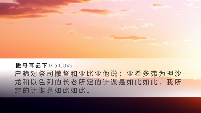 撒 母 耳 记 下 17:15 CUVS Desktop Wallpaper - 户 筛 对 祭 司 撒 督 和 亚 比 亚 他 - Desktop Bible Verse Wallpaper