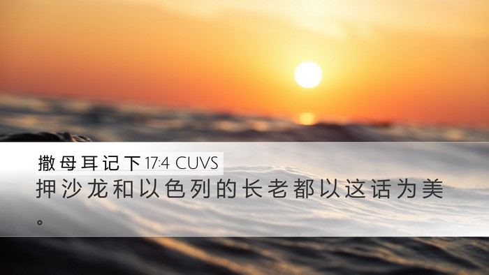 撒 母 耳 记 下 17:4 CUVS Desktop Wallpaper - 押 沙 龙 和 以 色 列 的 长 老 都 以 - Desktop Bible Verse Wallpaper