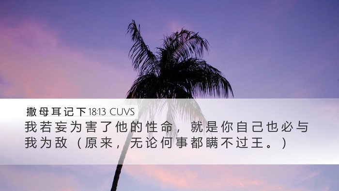 撒 母 耳 记 下 18:13 CUVS Desktop Wallpaper - 我 若 妄 为 害 了 他 的 性 命 ， 就 - Desktop Bible Verse Wallpaper