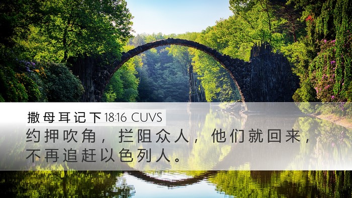 撒 母 耳 记 下 18:16 CUVS Bible Verse Image
