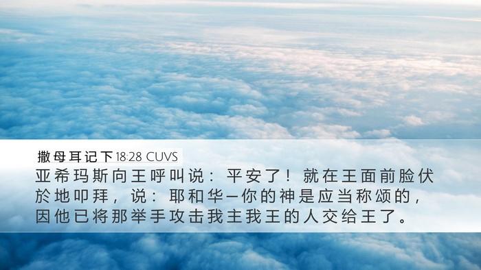 撒 母 耳 记 下 18:28 CUVS Bible Verse Image