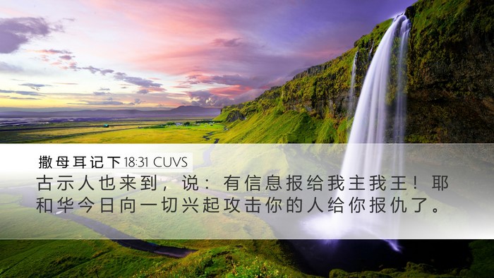 撒 母 耳 记 下 18:31 CUVS Bible Verse Image