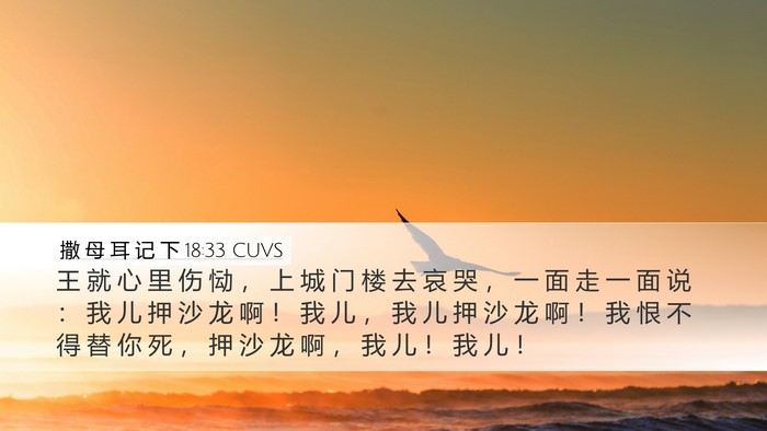 撒 母 耳 记 下 18:33 CUVS Bible Verse Image