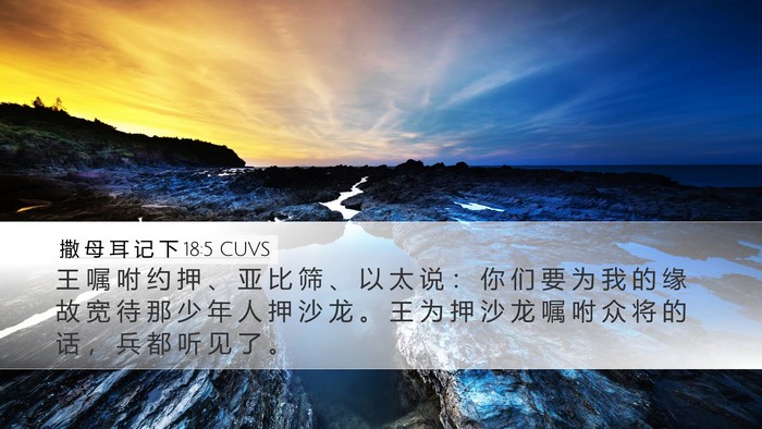 撒 母 耳 记 下 18:5 CUVS Desktop Wallpaper - 王 嘱 咐 约 押 、 亚 比 筛 、 以 太 - Desktop Bible Verse Wallpaper