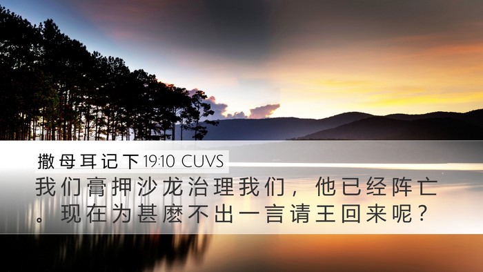 撒 母 耳 记 下 19:10 CUVS Bible Verse Image