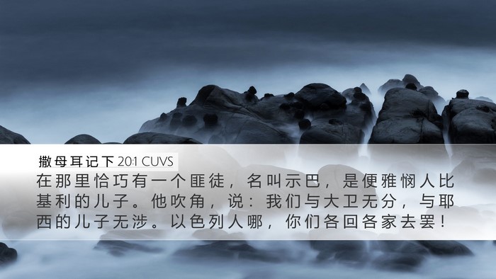 撒 母 耳 记 下 20:1 CUVS Bible Verse Image