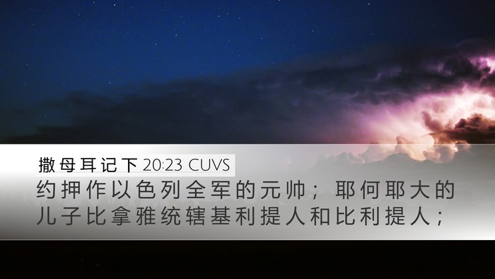 撒 母 耳 记 下 20:23 CUVS Bible Verse Image