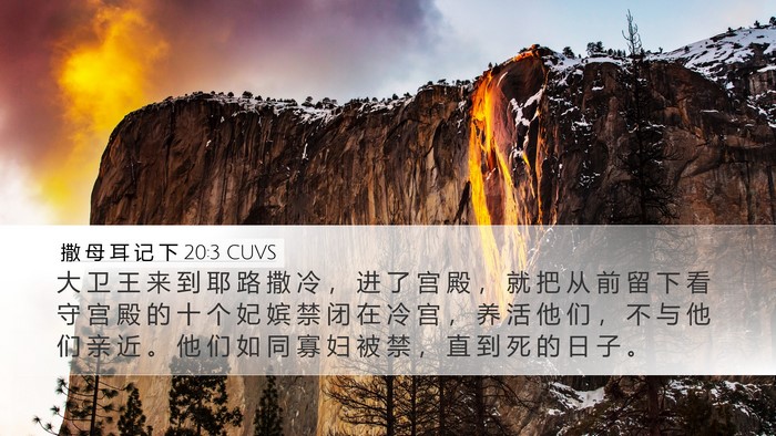 撒 母 耳 记 下 20:3 CUVS Desktop Wallpaper - 大 卫 王 来 到 耶 路 撒 冷 ， 进 了 - Desktop Bible Verse Wallpaper