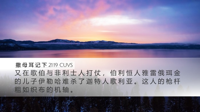 撒 母 耳 记 下 21:19 CUVS Bible Verse Image