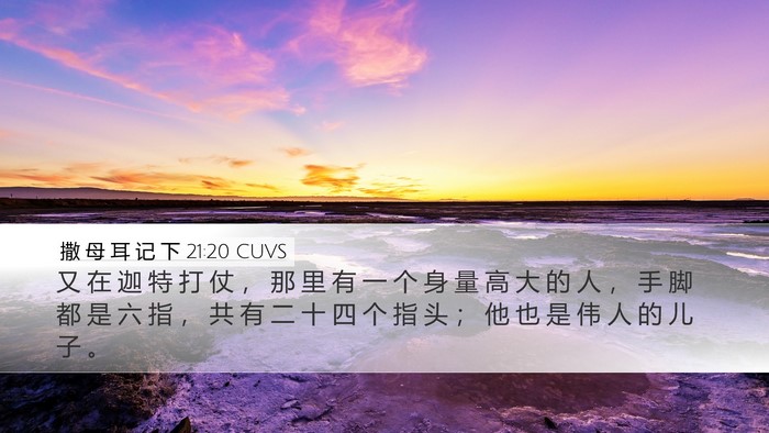撒 母 耳 记 下 21:20 CUVS Bible Verse Image
