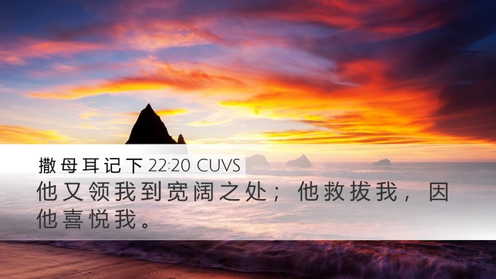撒 母 耳 记 下 22:20 CUVS Bible Verse Image