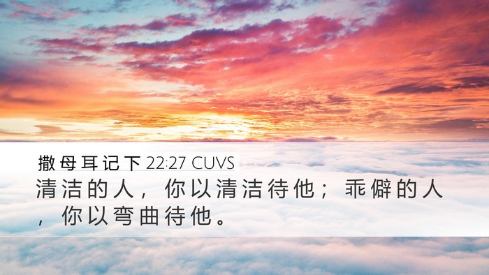 撒 母 耳 记 下 22:27 CUVS Desktop Wallpaper - 清 洁 的 人 ， 你 以 清 洁 待 他 ； - Desktop Bible Verse Wallpaper