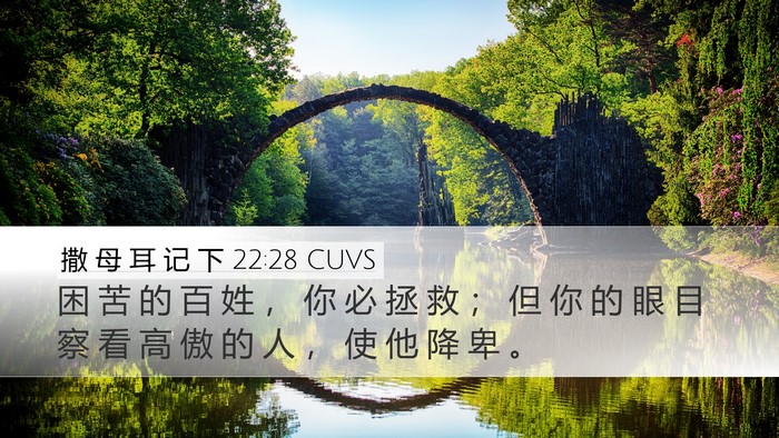 撒 母 耳 记 下 22:28 CUVS Desktop Wallpaper - 困 苦 的 百 姓 ， 你 必 拯 救 ； 但 - Desktop Bible Verse Wallpaper