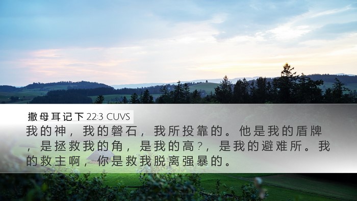 撒 母 耳 记 下 22:3 CUVS Bible Verse Image