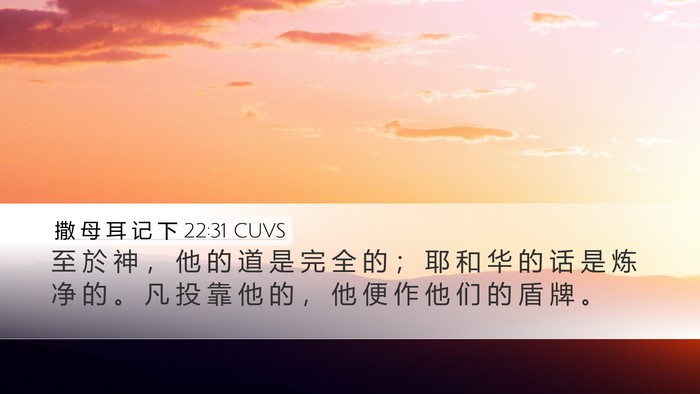 撒 母 耳 记 下 22:31 CUVS Desktop Wallpaper - 至 於 神 ， 他 的 道 是 完 全 的 ； - Desktop Bible Verse Wallpaper