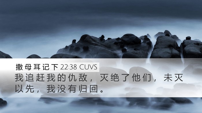 撒 母 耳 记 下 22:38 CUVS Desktop Wallpaper - 我 追 赶 我 的 仇 敌 ， 灭 绝 了 他 - Desktop Bible Verse Wallpaper