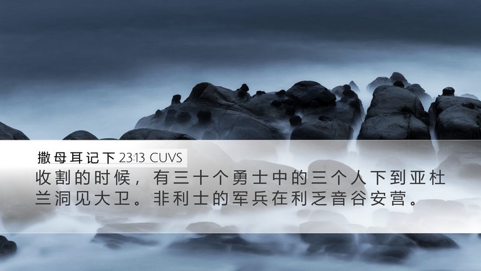 撒 母 耳 记 下 23:13 CUVS Bible Verse Image
