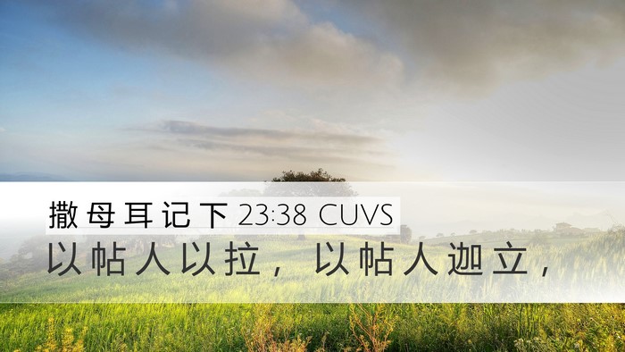 撒 母 耳 记 下 23:38 CUVS Bible Verse Image