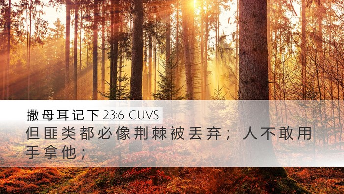 撒 母 耳 记 下 23:6 CUVS Bible Verse Image