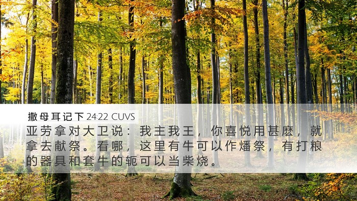 撒 母 耳 记 下 24:22 CUVS Desktop Wallpaper - 亚 劳 拿 对 大 卫 说 ： 我 主 我 王 - Desktop Bible Verse Wallpaper