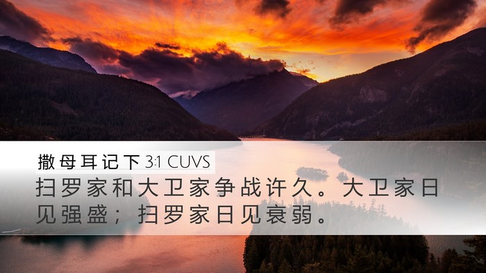 撒 母 耳 记 下 3:1 CUVS Bible Verse Image