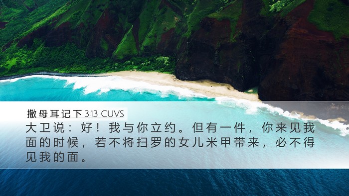 撒 母 耳 记 下 3:13 CUVS Desktop Wallpaper - 大 卫 说 ： 好 ！ 我 与 你 立 约 。 - Desktop Bible Verse Wallpaper