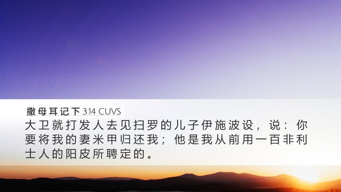 撒 母 耳 记 下 3:14 CUVS Desktop Wallpaper - 大 卫 就 打 发 人 去 见 扫 罗 的 儿 - Desktop Bible Verse Wallpaper