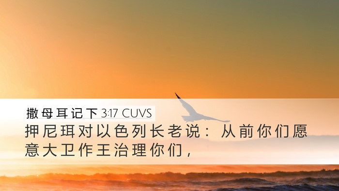 撒 母 耳 记 下 3:17 CUVS Desktop Wallpaper - 押 尼 珥 对 以 色 列 长 老 说 ： 从 - Desktop Bible Verse Wallpaper