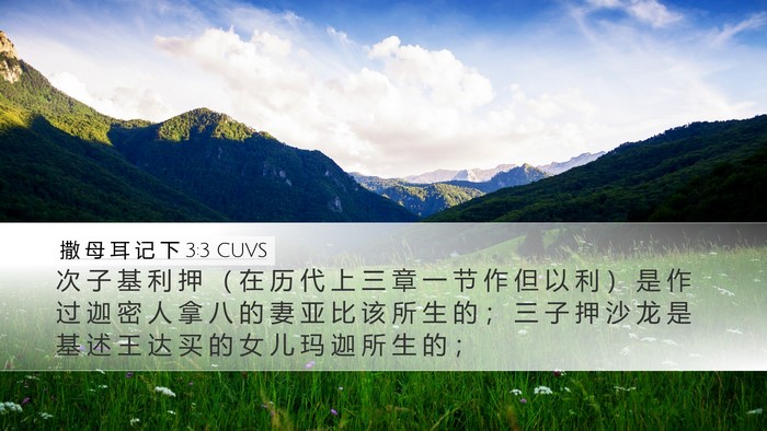 撒 母 耳 记 下 3:3 CUVS Bible Verse Image