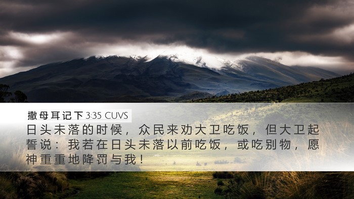 撒 母 耳 记 下 3:35 CUVS Bible Verse Image
