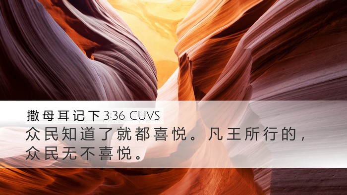 撒 母 耳 记 下 3:36 CUVS Bible Verse Image