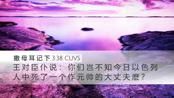 撒 母 耳 记 下 3:38 CUVS Desktop Wallpaper - 王 对 臣 仆 说 ： 你 们 岂 不 知 今 - Desktop Bible Verse Wallpaper