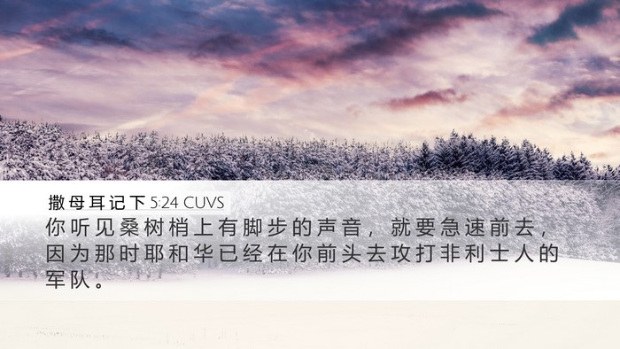 撒 母 耳 记 下 5:24 CUVS Bible Verse Image
