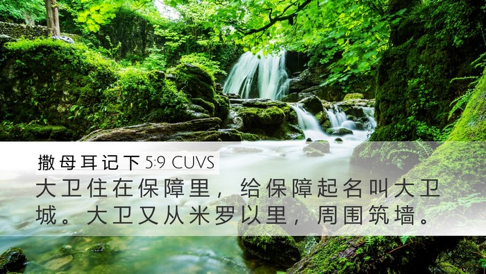 撒 母 耳 记 下 5:9 CUVS Bible Verse Image