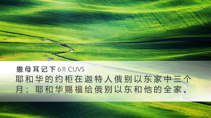 撒 母 耳 记 下 6:11 CUVS Desktop Wallpaper - 耶 和 华 的 约 柜 在 迦 特 人 俄 别 - Desktop Bible Verse Wallpaper