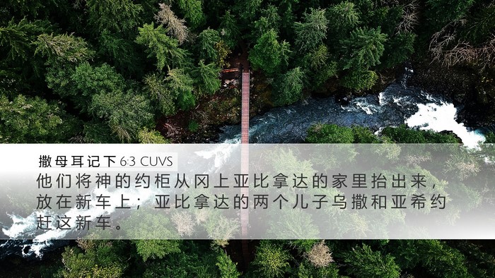 撒 母 耳 记 下 6:3 CUVS Bible Verse Image