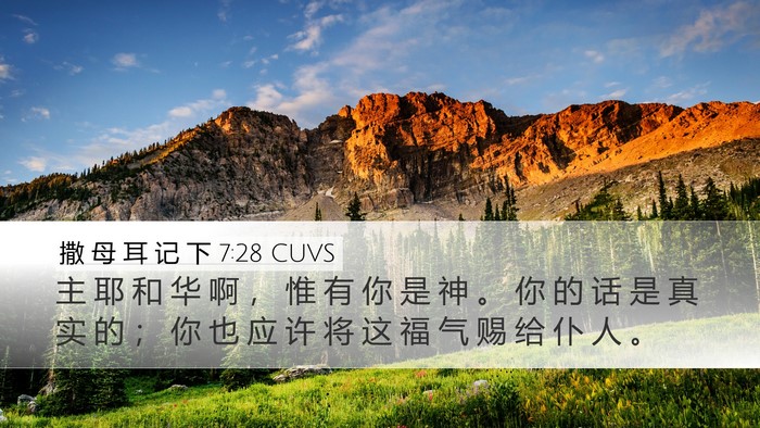 撒 母 耳 记 下 7:28 CUVS Desktop Wallpaper - 主 耶 和 华 啊 ， 惟 有 你 是 神 。 - Desktop Bible Verse Wallpaper