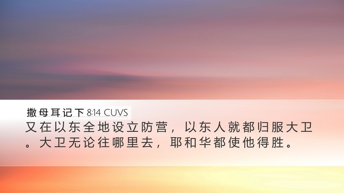 撒 母 耳 记 下 8:14 CUVS Bible Verse Image