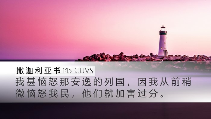 撒 迦 利 亚 书 1:15 CUVS Bible Verse Image