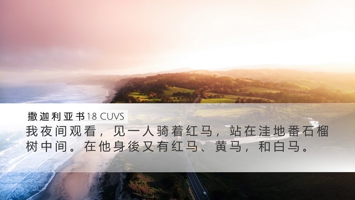 撒 迦 利 亚 书 1:8 CUVS Bible Verse Image