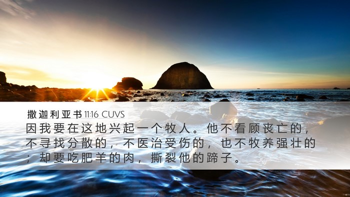 撒 迦 利 亚 书 11:16 CUVS Bible Verse Image