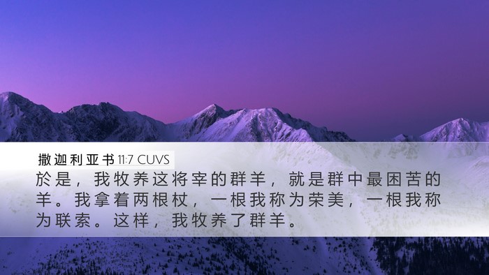 撒 迦 利 亚 书 11:7 CUVS Bible Verse Image