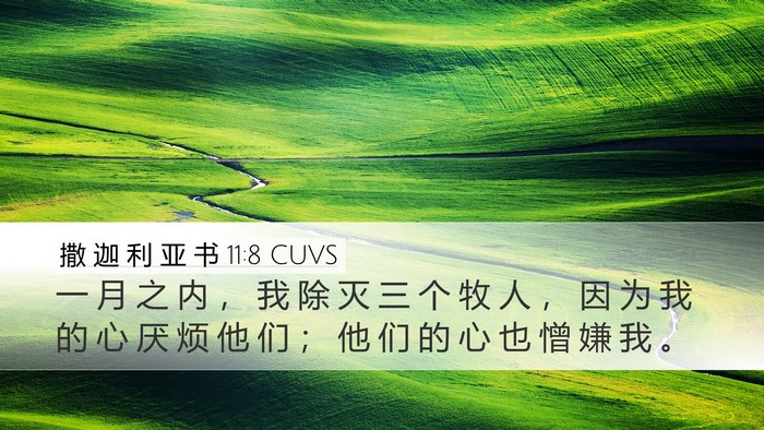 撒 迦 利 亚 书 11:8 CUVS Bible Verse Image
