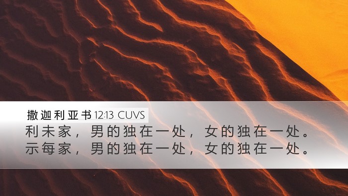 撒 迦 利 亚 书 12:13 CUVS Bible Verse Image