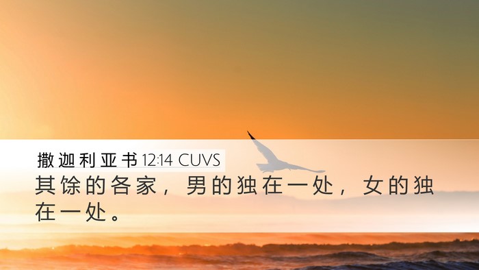 撒 迦 利 亚 书 12:14 CUVS Desktop Wallpaper - 其 馀 的 各 家 ， 男 的 独 在 一 处 - Desktop Bible Verse Wallpaper