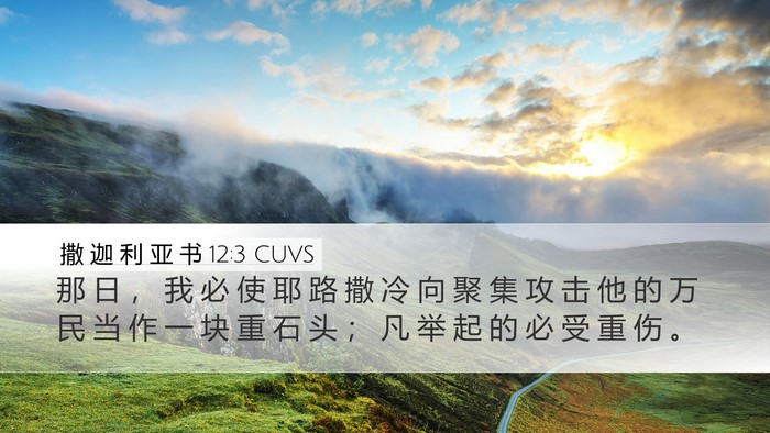 撒 迦 利 亚 书 12:3 CUVS Bible Verse Image